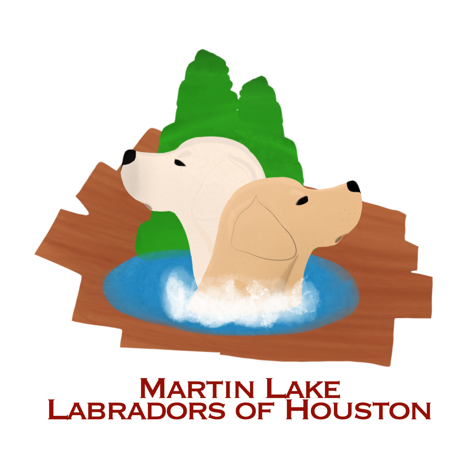 Martin Labradors of Houston