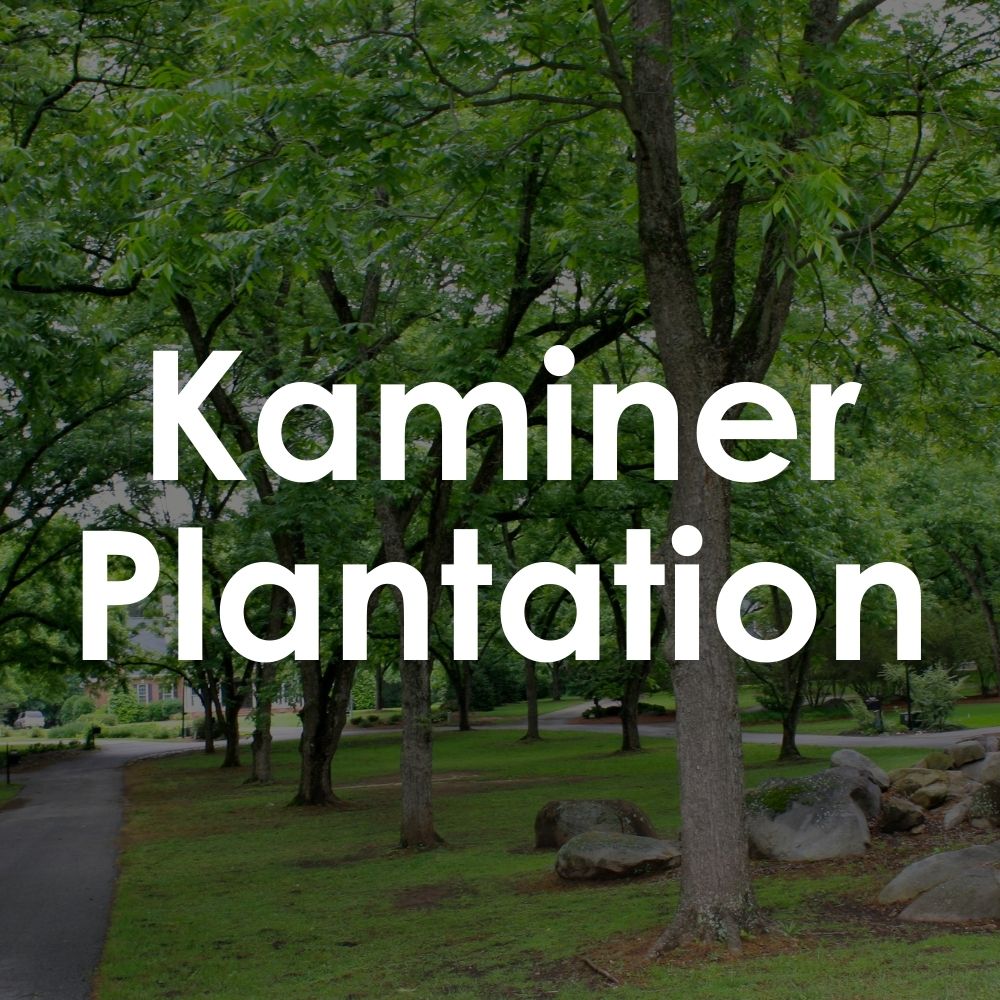 Kaminer Plantation. Old Southern look and feel