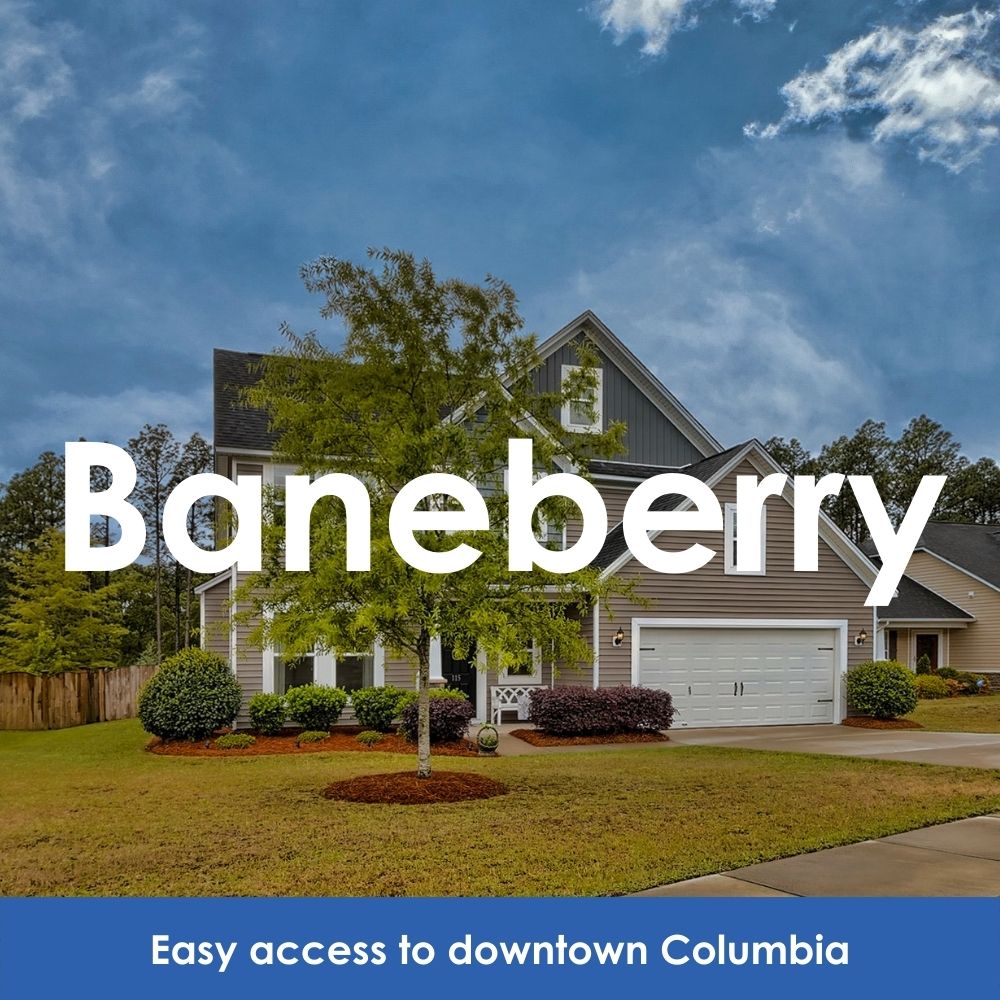 Baneberry. Easy access to downtown Columbia