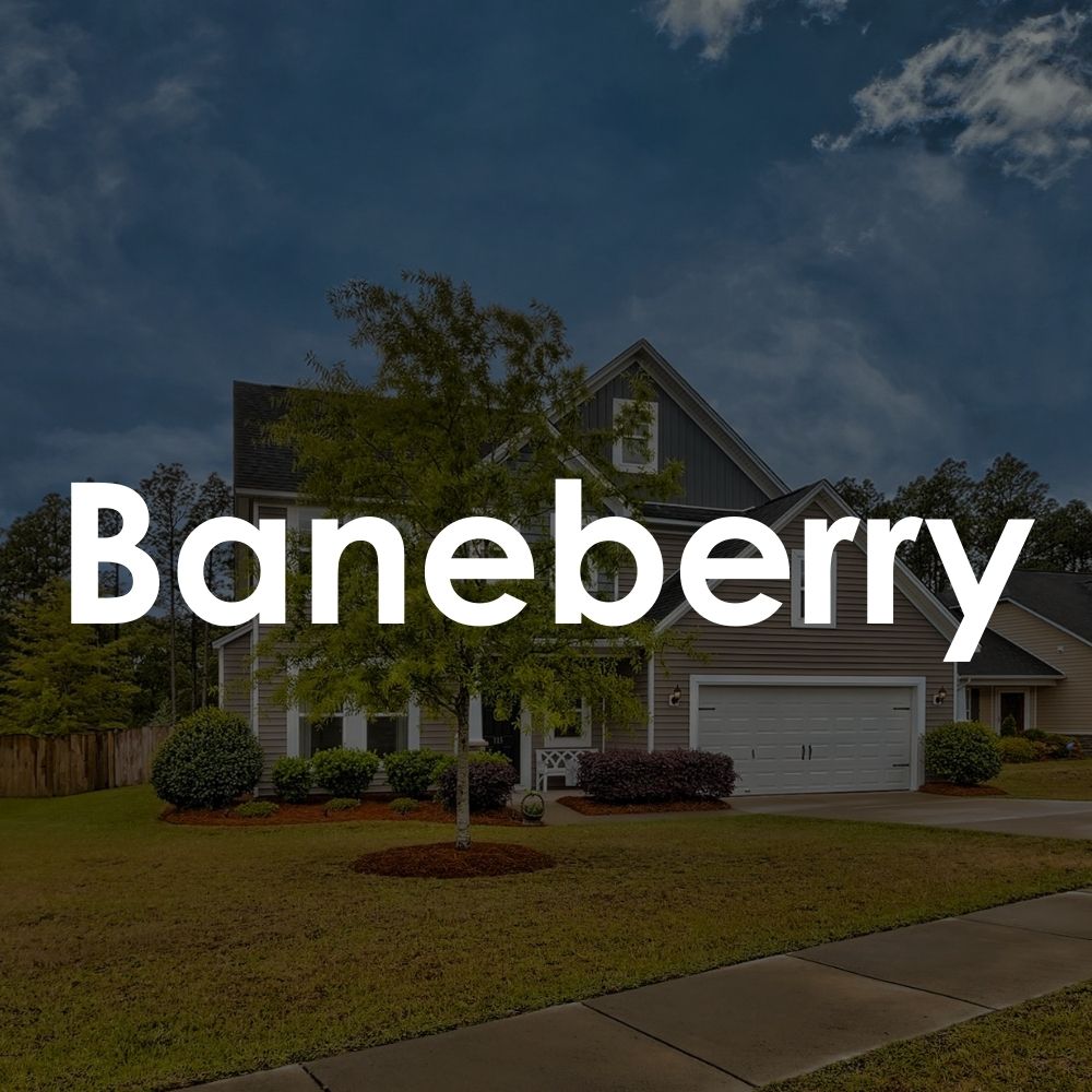 Baneberry. Easy access to downtown Columbia
