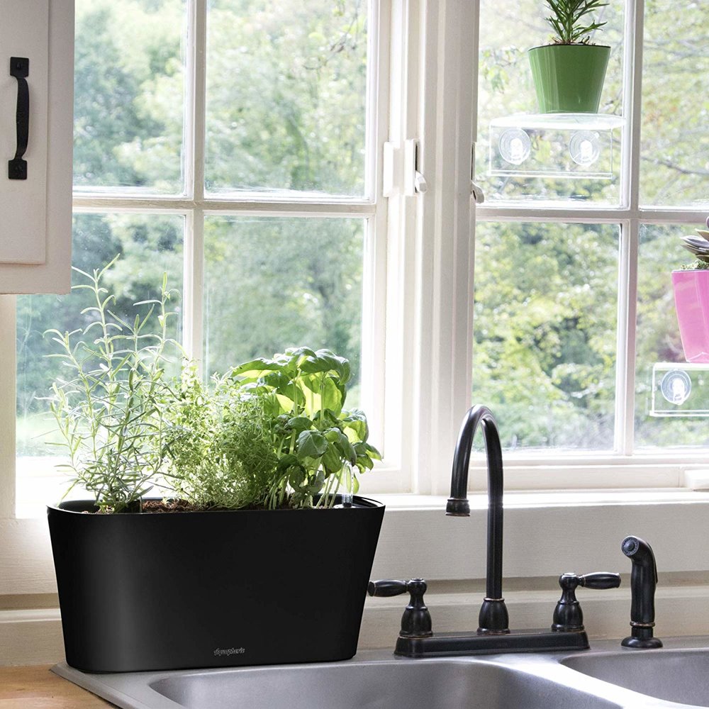 Windows Garden Aquaphoric Tub Indoor Gardening Blog Vertical