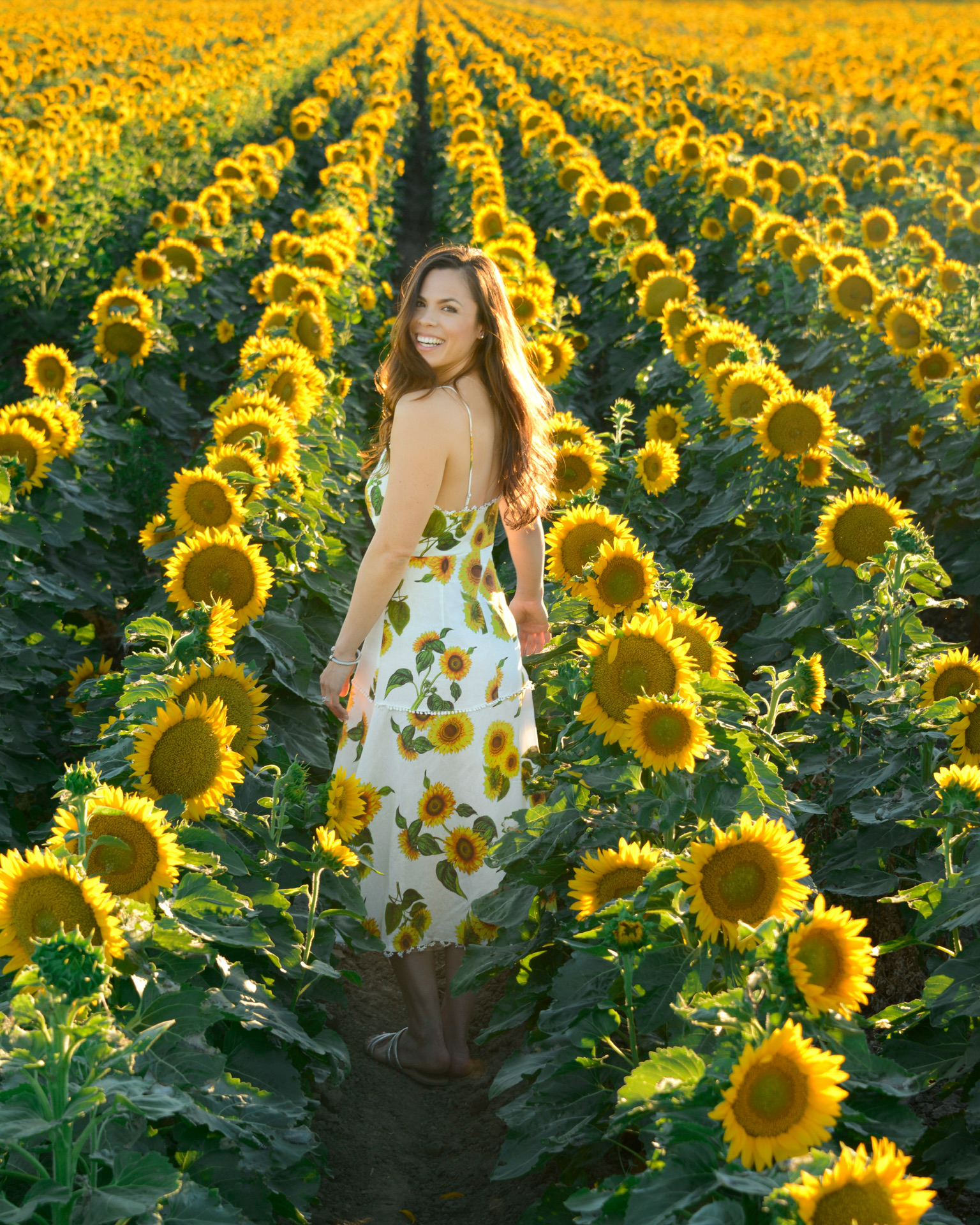Woodland Sunflowers Dressed To Match