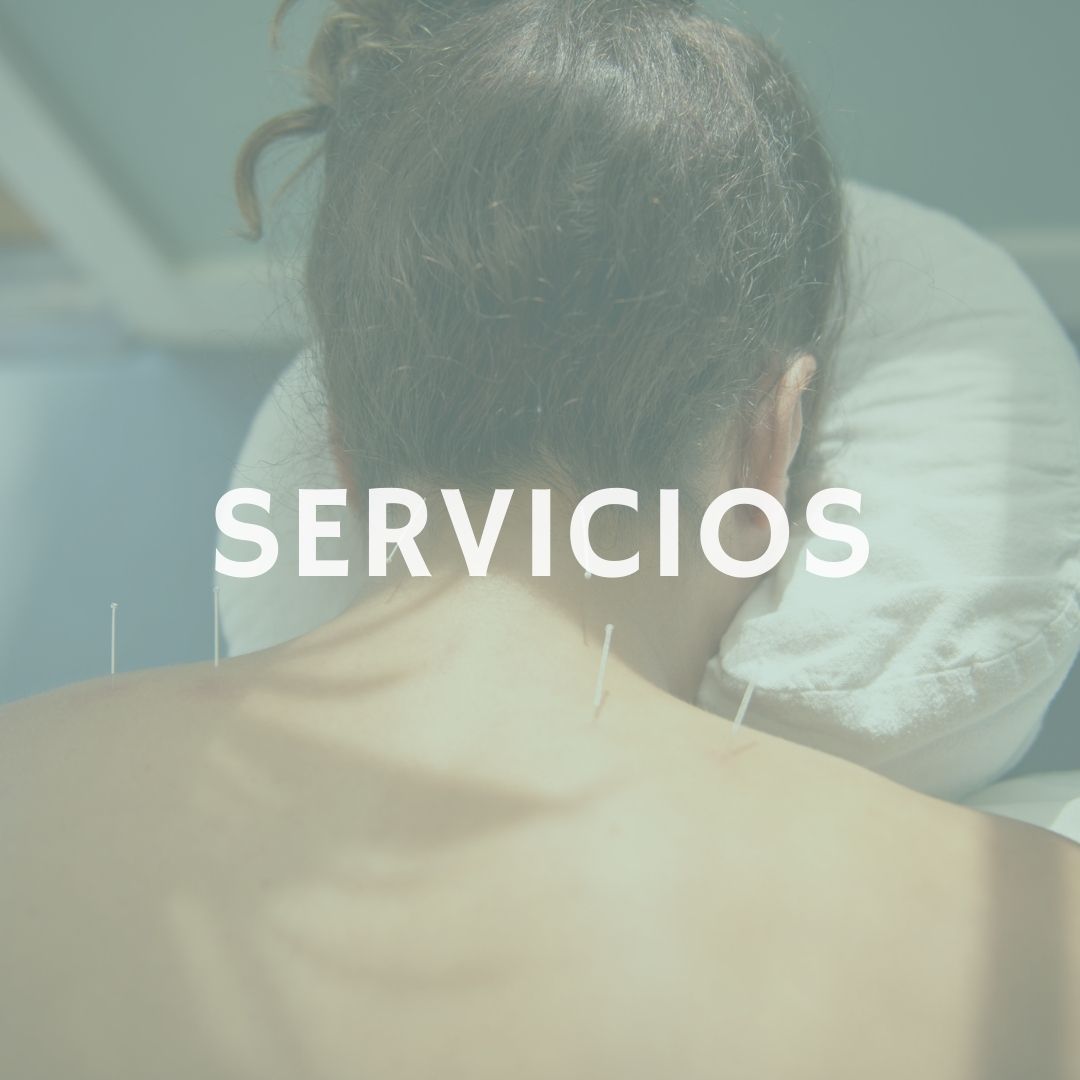 servicios