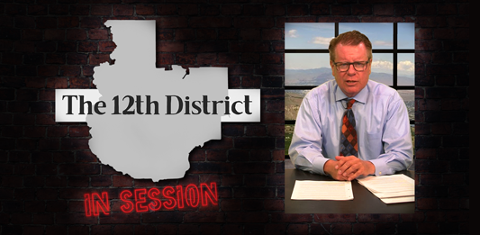 The-12th-District_page-graphic_In_Session.png