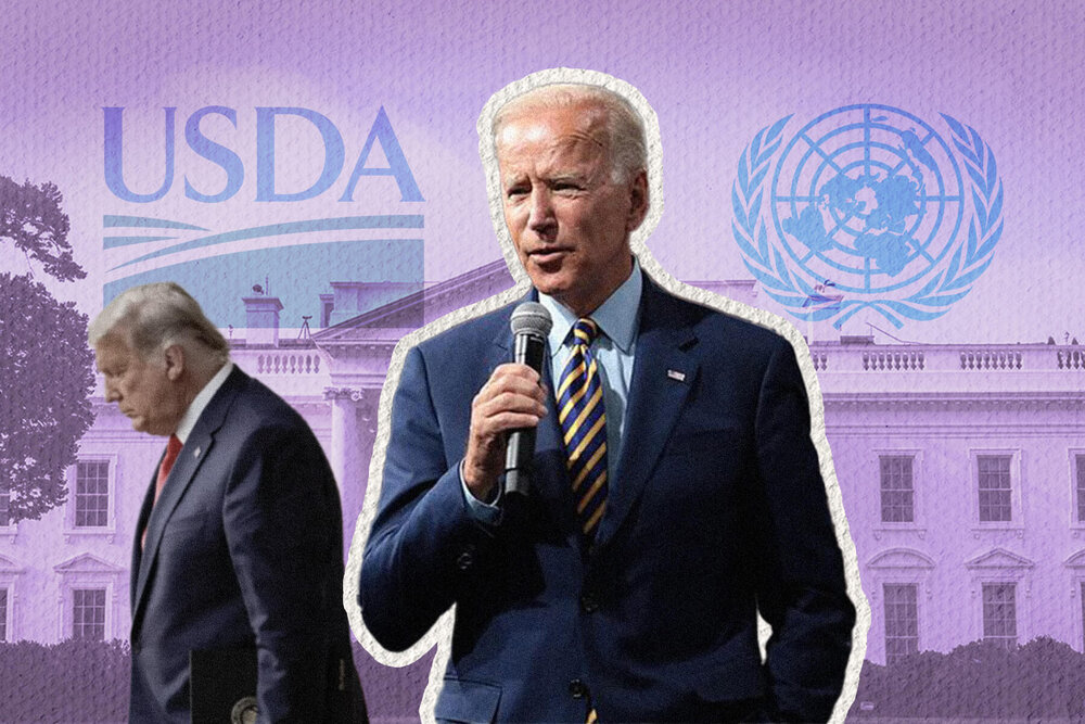 Will a Biden presidency change anything for animals? — Surge | Creative  Non-Profit for Animal Rights