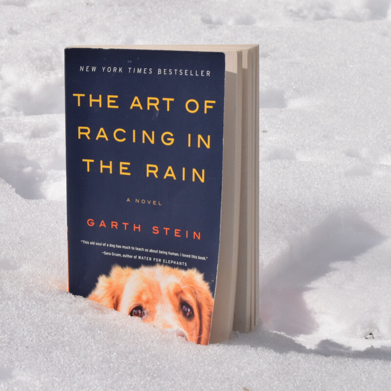 The Art of Racing in the Rain — Relevant Reading Book Discussion Guides