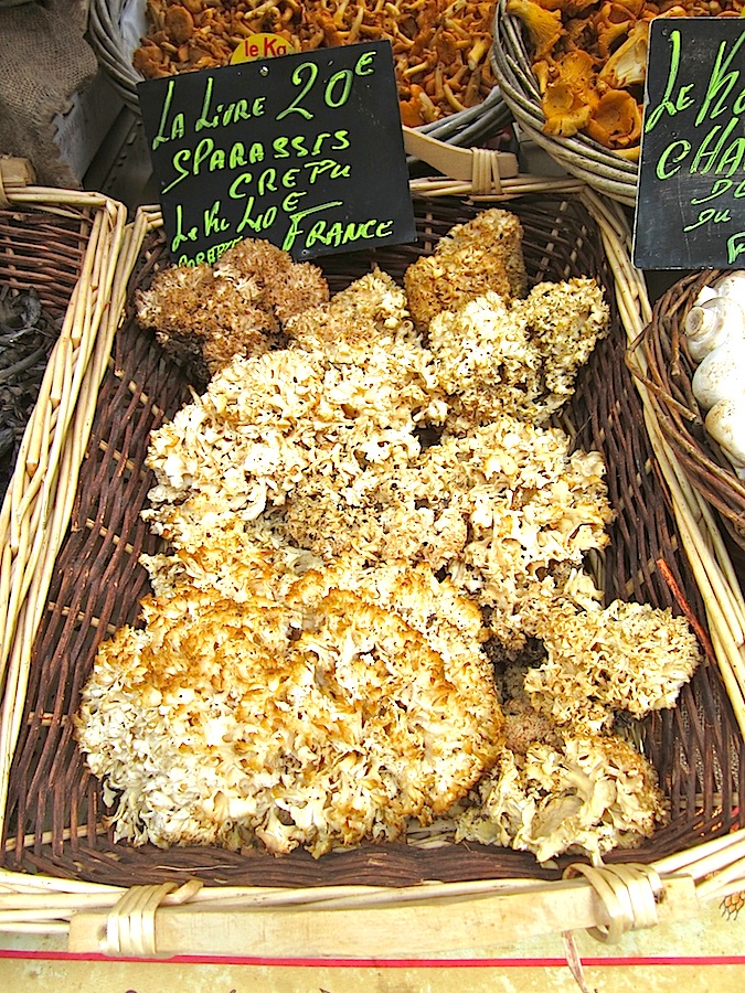 burgundy-cooks-atelier-mushrooms-market
