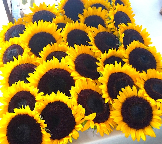 chefs-champagne-sunflowers