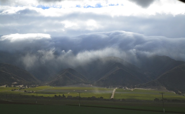 pisoni-santa-lucia-highlands-fog-rolling