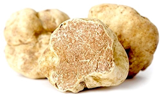 white-truffle-mushrooms