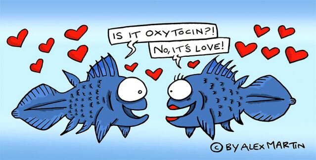 Fishes in Love.jpg
