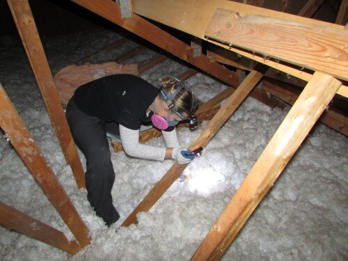 Tessa in an attic