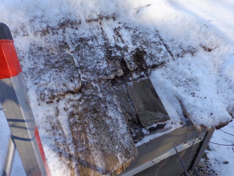 Trashed roof below snow.jpg