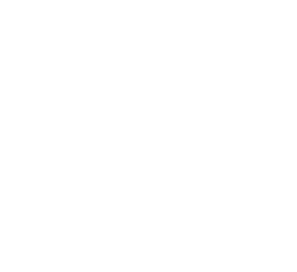 About Us Fat Cats
