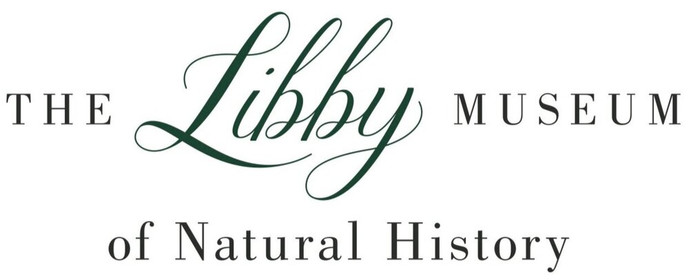 The Libby Museum
