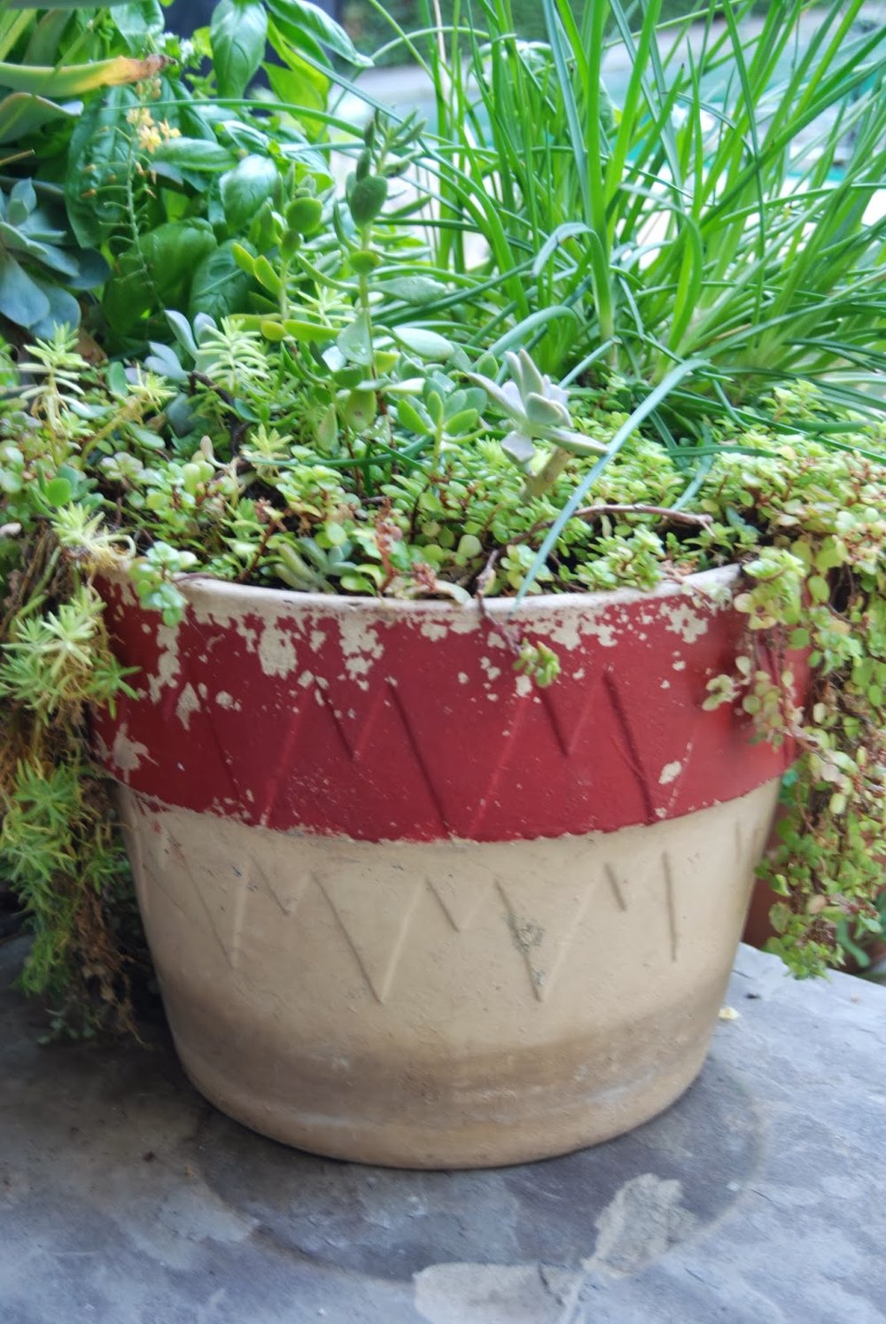 Vintage red and cream planter
