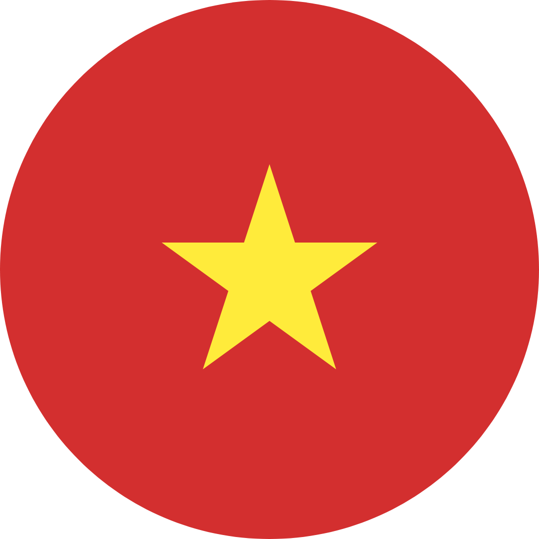 Vietnamese Flag