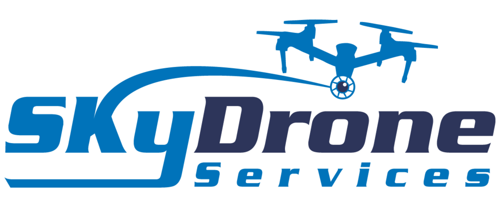 skyDrone services