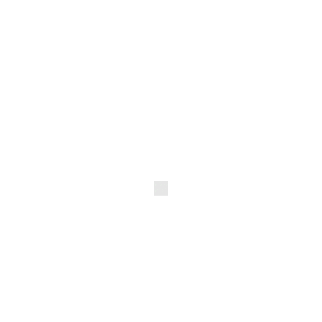 Intro Animation