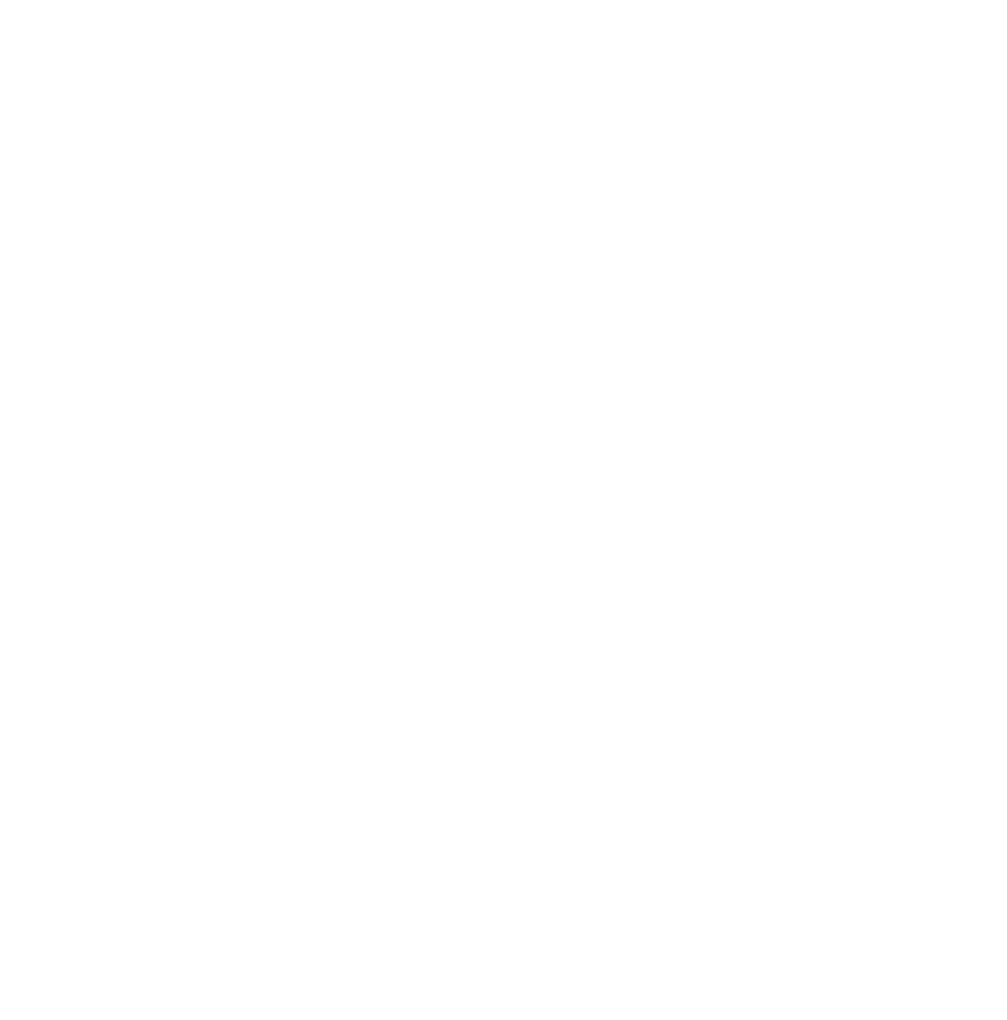 Bridget Brennan RN Logo White