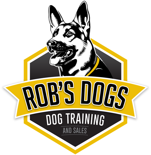 Rob's Dog training phoenix