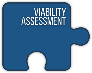 blue puzzle viability assessment