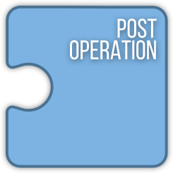 light blue puzzle post operation
