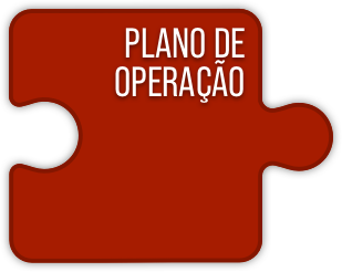 red puzzle operation plan