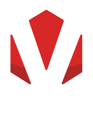 The Vision Method™