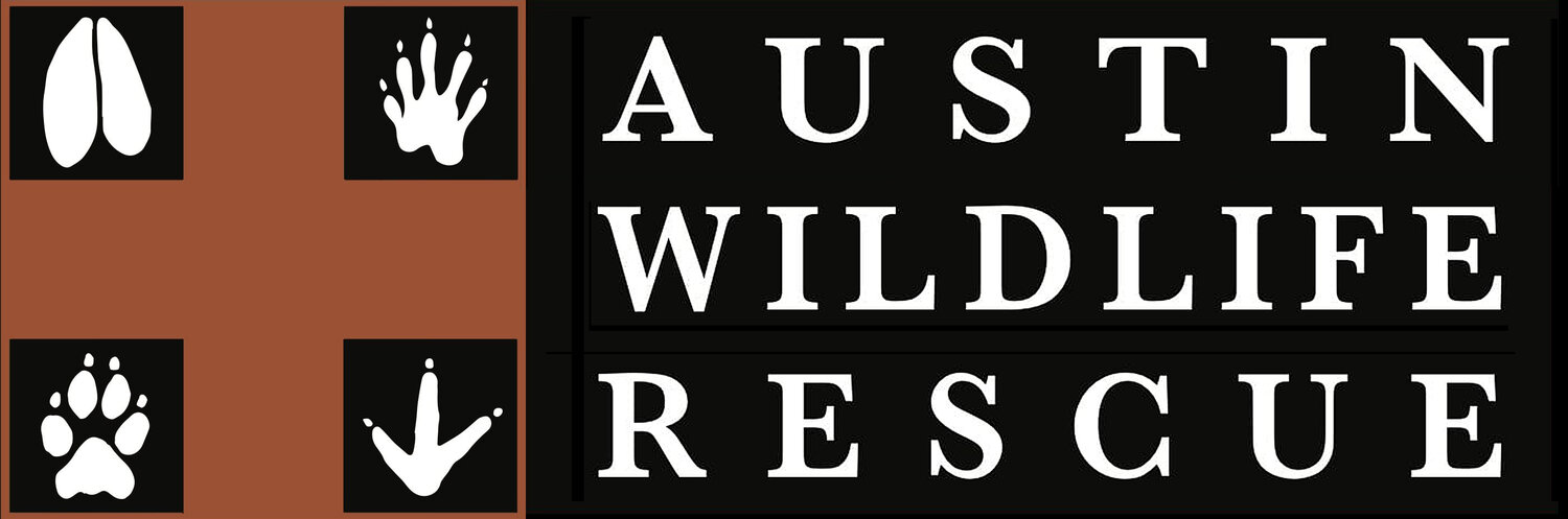 Austin Wildlife Rescue