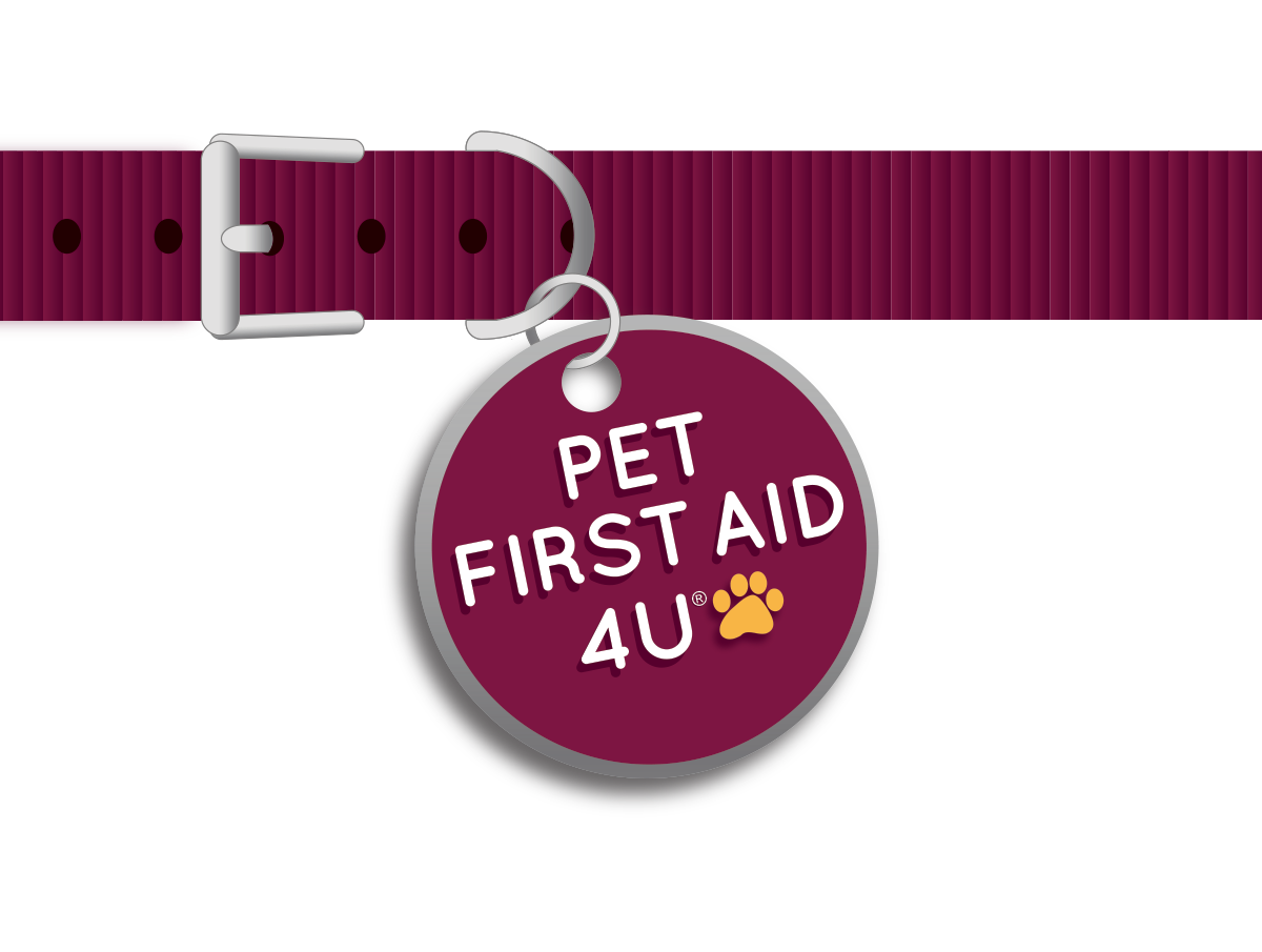 Pet First Aid 4u With Arden Moore