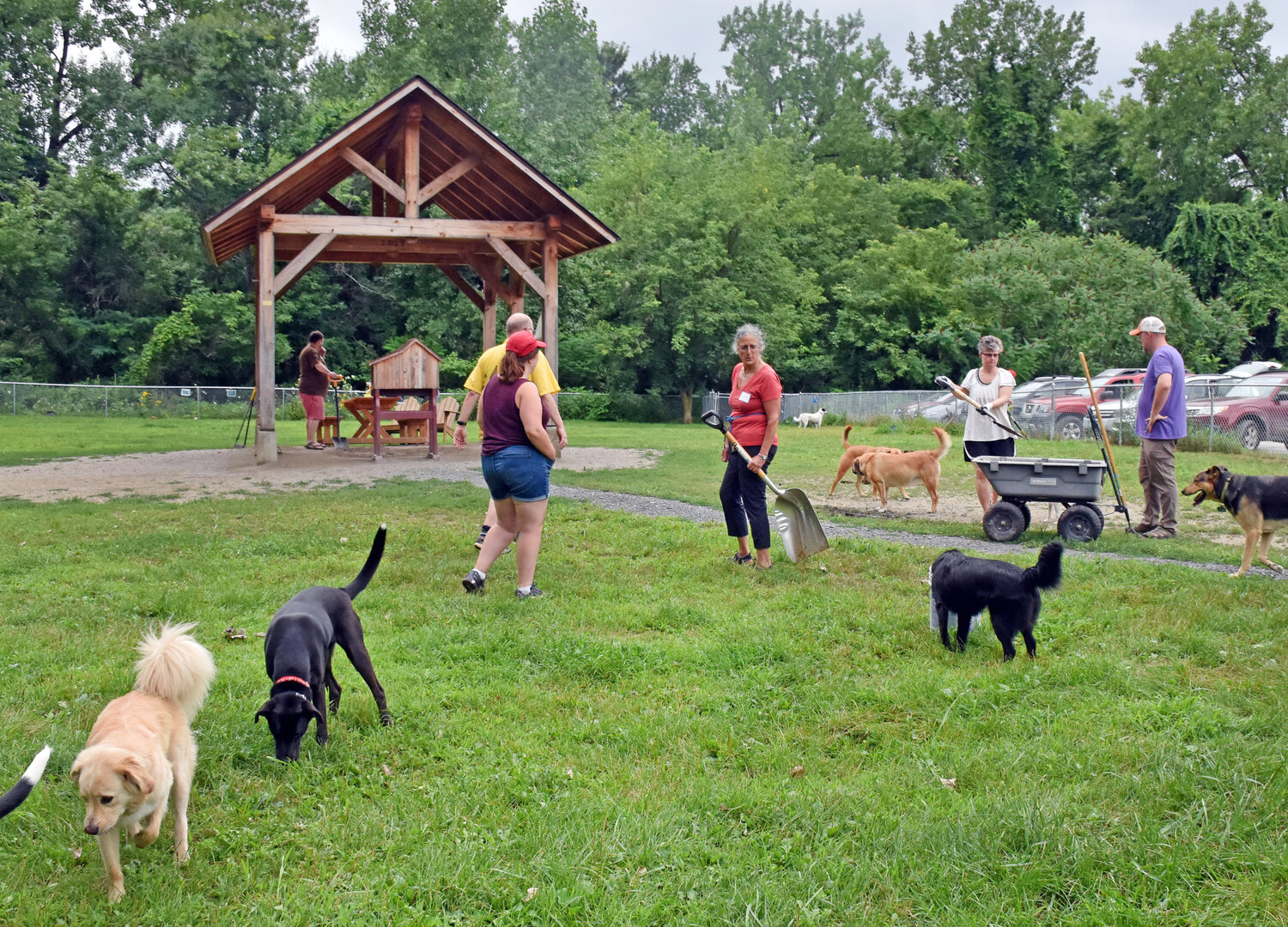 Flagging volunteer effort jeopardizes Waterbury Unleashed Dog Park — Waterbury Roundabout