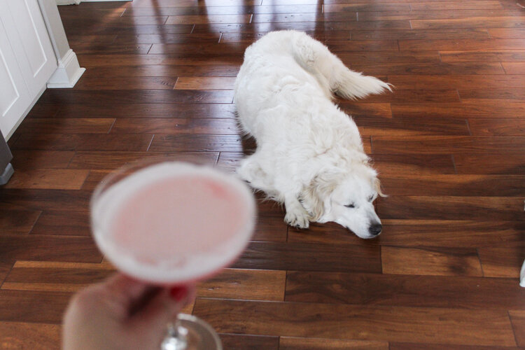P.S. If your pets are home, you’re never drinking alone.