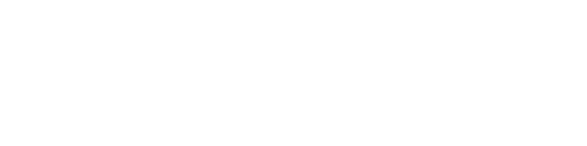 TECO Logo