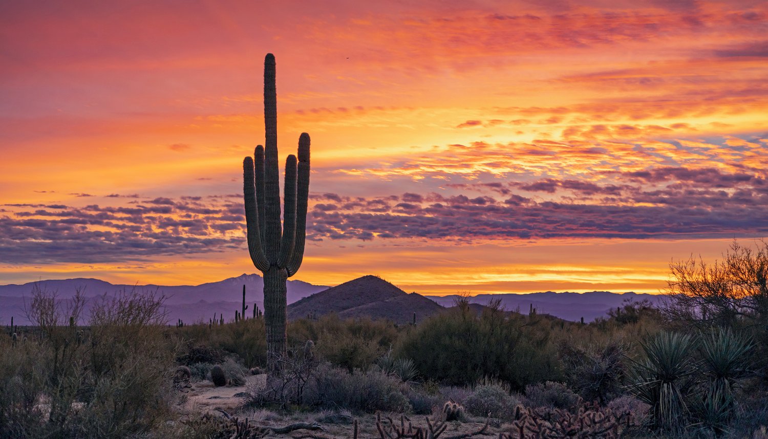 Southwest USA Sunsets & Sunrises Stock Images | Buy Photos