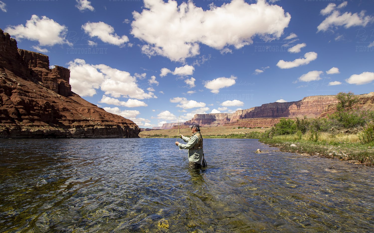 Lone Man Fly Fishing On The Colorado River, Lees Ferry, AZ
