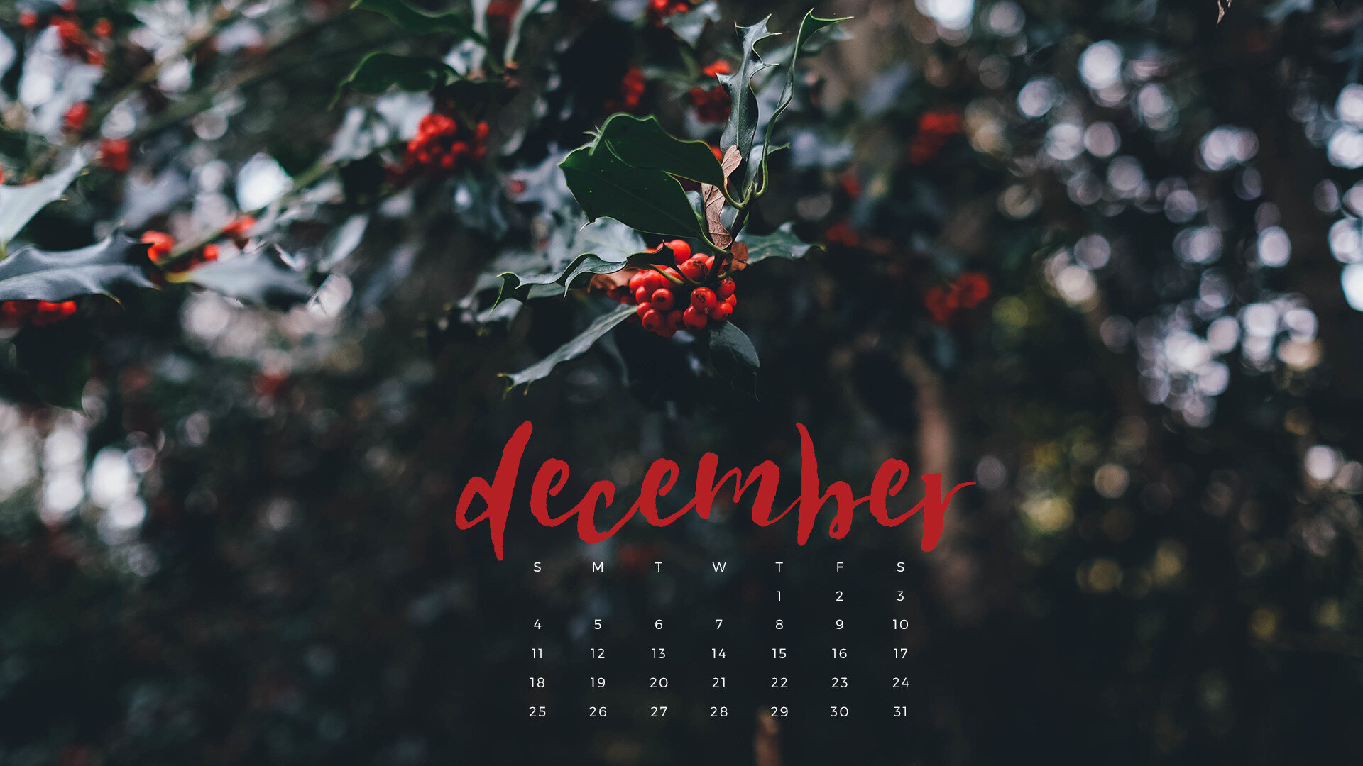 Hello December! Downloadable Calendar Freebie. — Okay Miss Art + Design