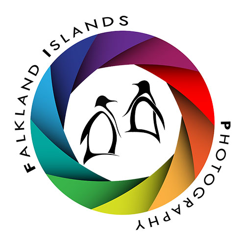 Falkland Islands Photography Page is Loading
