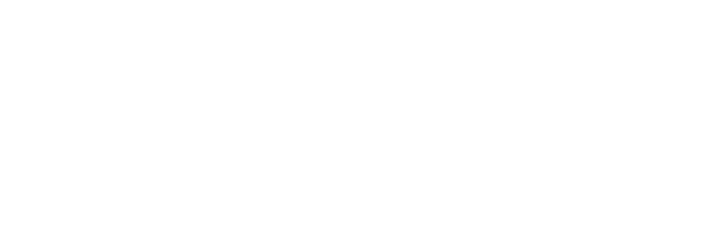 Standitiser Logo-White
