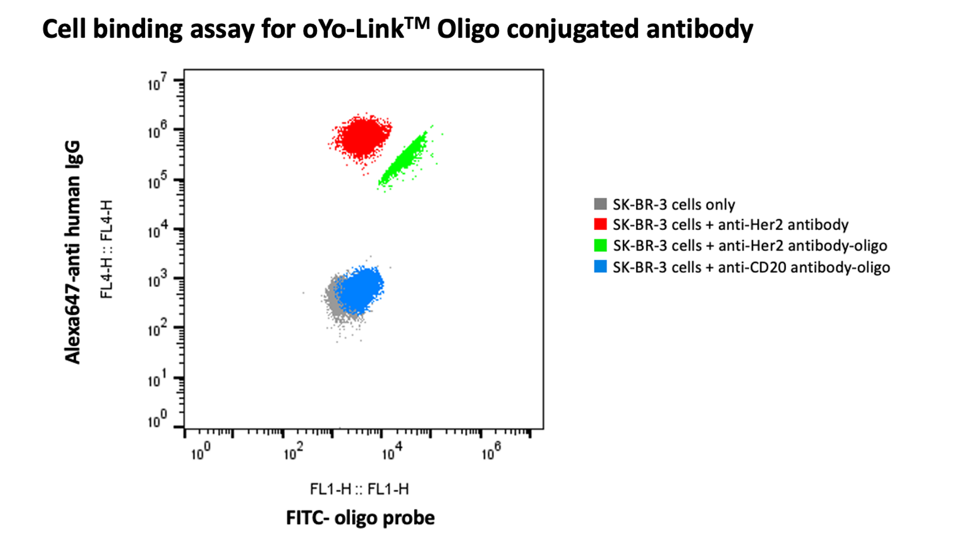 Fig. 2: Cell binding assay for oYo-Link Oligo conjugated antibody.