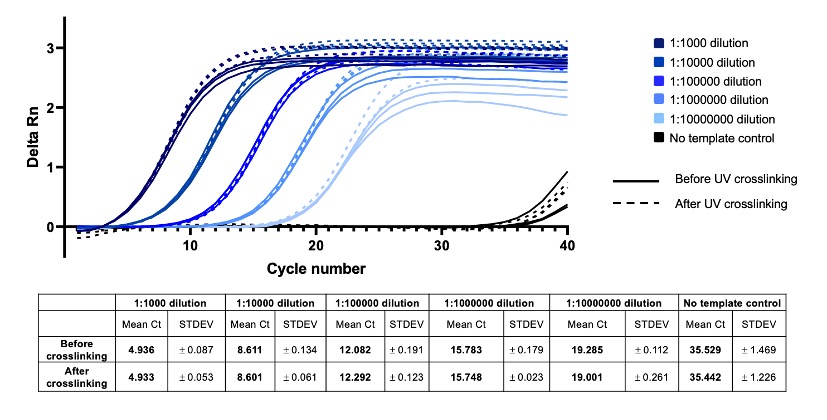 Fig. 3. UV (365nm) crosslinking does not affect PCR amplification of oYo-Link Oligo.