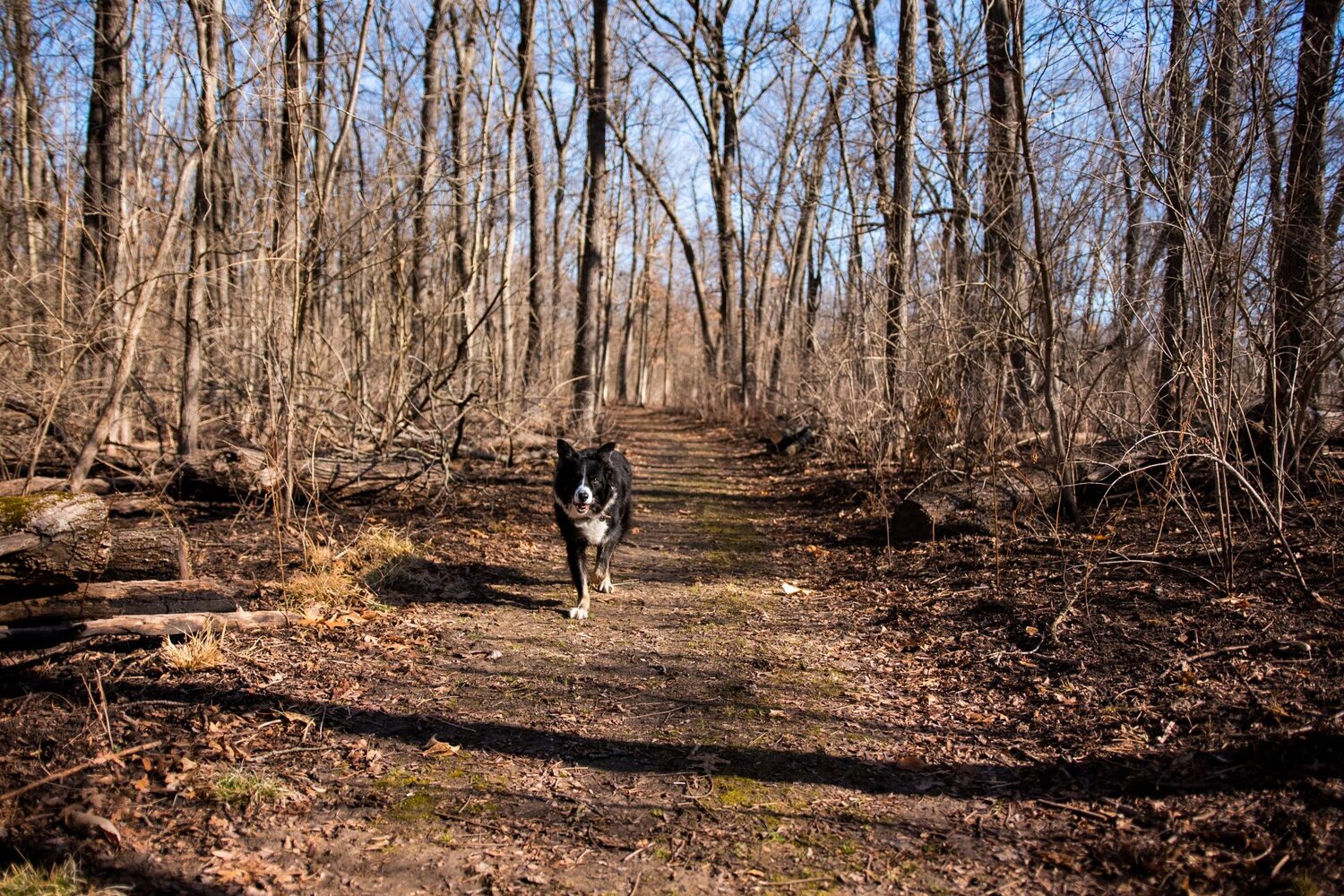 Jubilee College State Park Trails