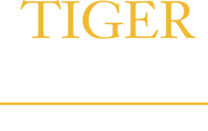 Tiger Institute for Health Innovation