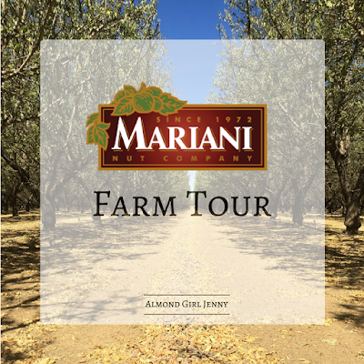 Almond farm tours