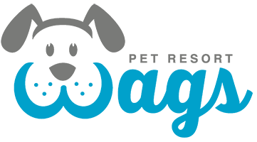 wags pet resort