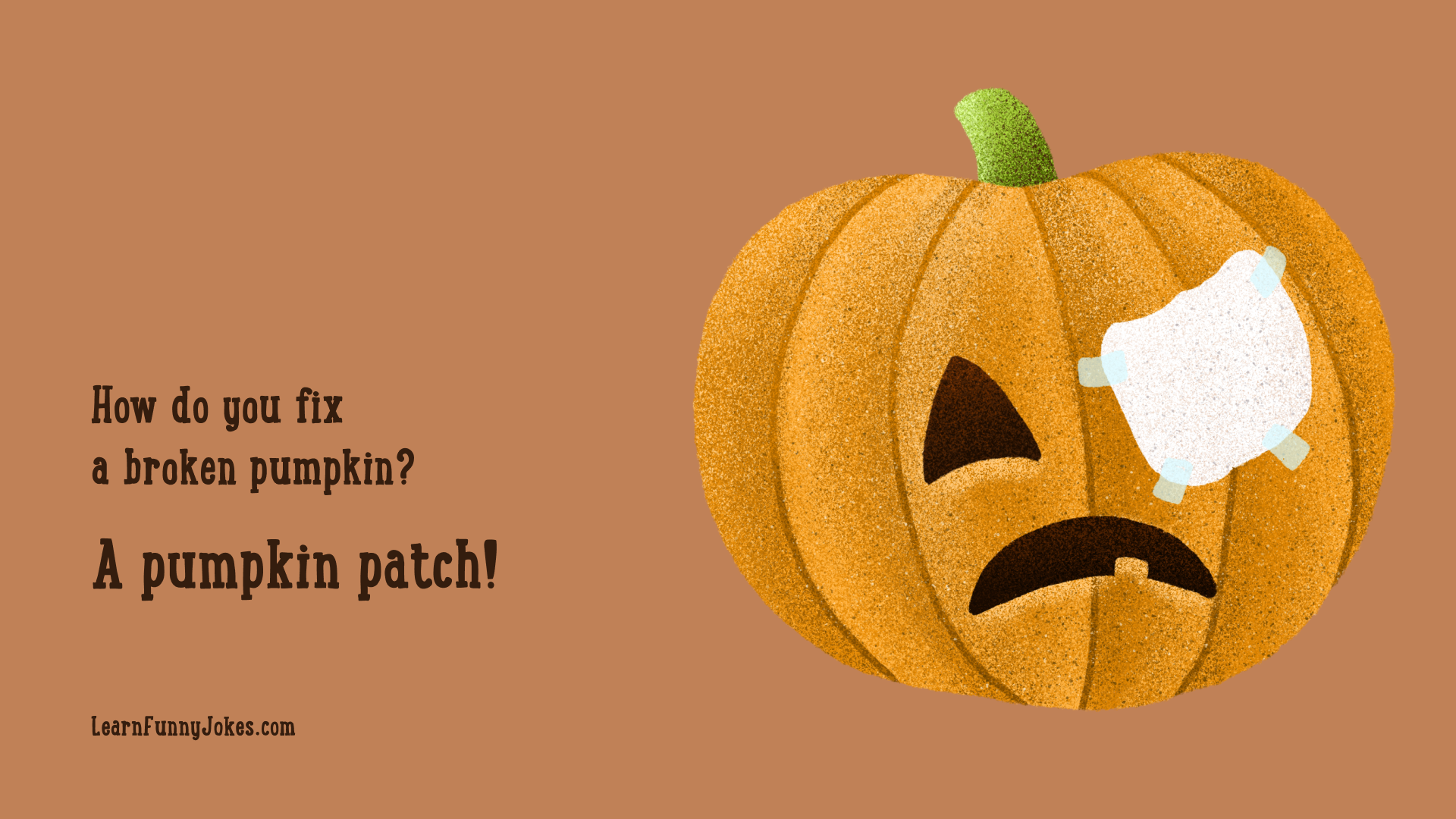 A pumpkin patch! 