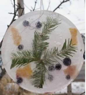 Winter Ice Ornament — Bowers Farm
