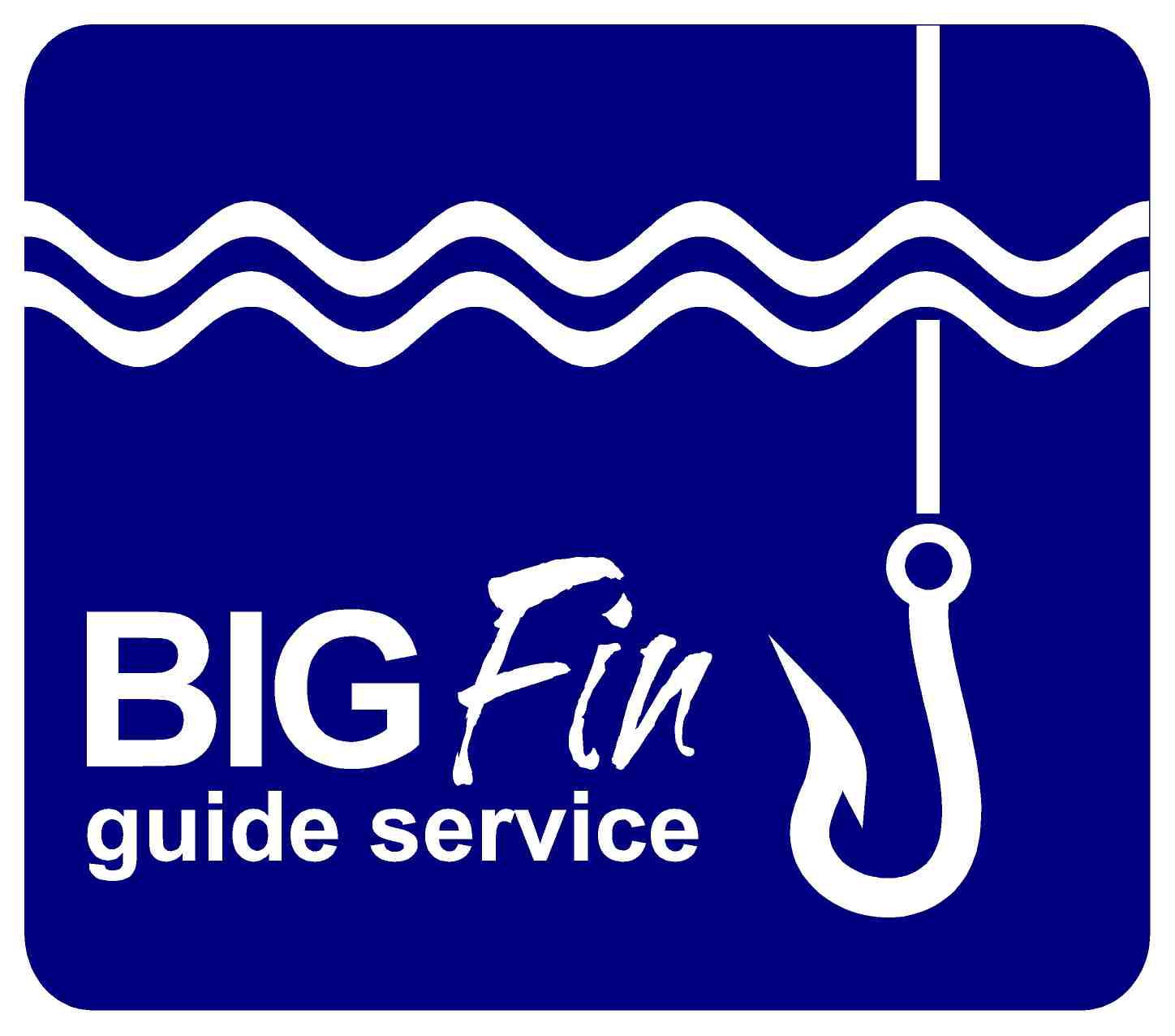 BIG Fin Guide Service