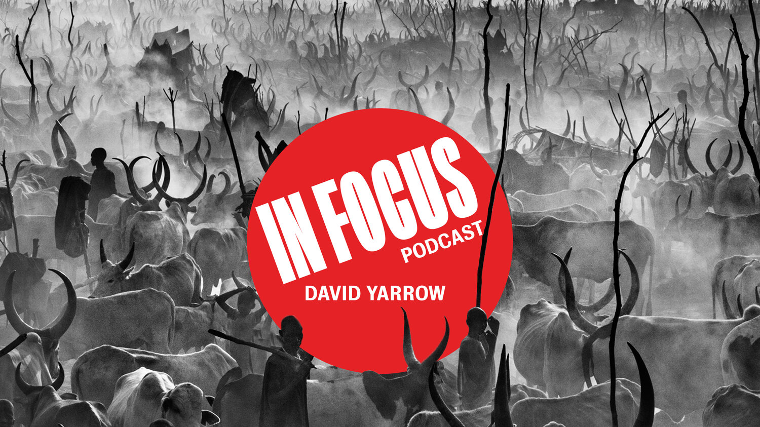 Image result for david yarrow in focus podcast