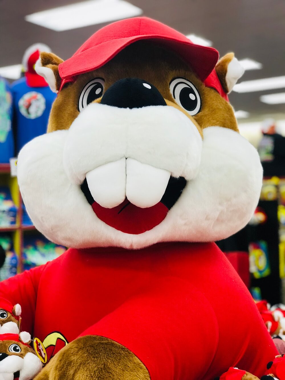 My FIRST Trip To Buc-ee's Beaver Store: Fun, Food, Shopping And A Good Ole' Time!